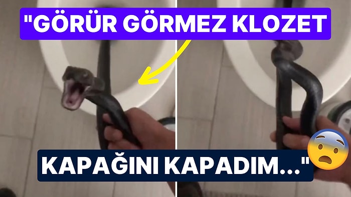 Kabusları Gerçek Oldu: Klozette Kocaman Bir Yılan ile Karşılaşan Kadının Korku Dolu Anları