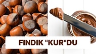 Fındık Alım Fiyatı Dolar Bazında Değişmeyince Almanya'da Gelen Nutella'nın Fiyatı Üzdü