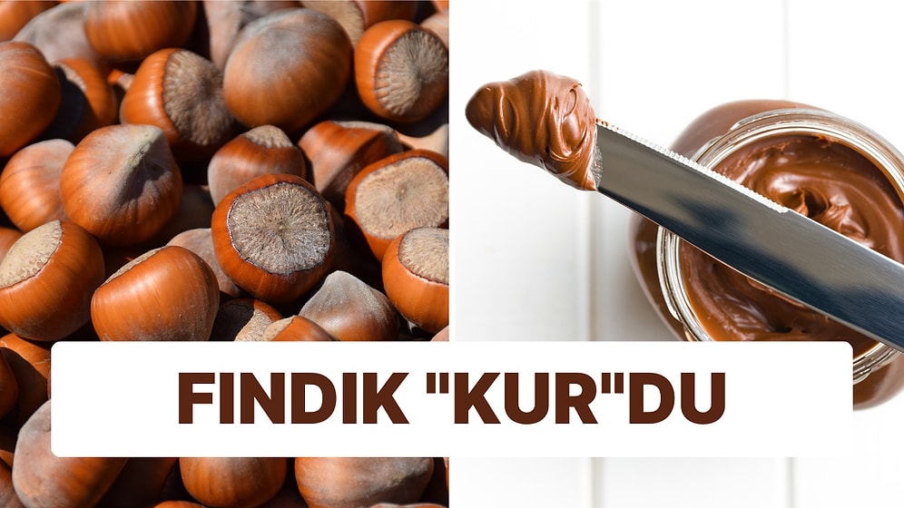 Fındık Alım Fiyatı Dolar Bazında Değişmeyince Almanya'da Gelen Nutella'nın Fiyatı Üzdü