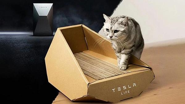 Tesla kedi yatağının özellikleri