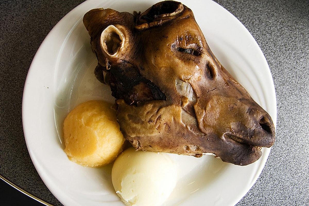 Есть тухлое мясо. Вареная баранья голова. Исландское блюдо баранья голова.