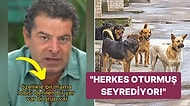 Bir Mama Lobisi Var: Cüneyt Özdemir, Sokak Köpekleri Sorunu Hakkında Konuştu
