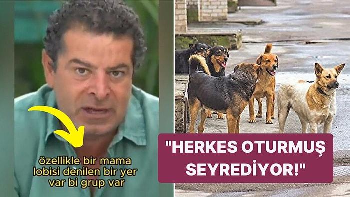 Bir Mama Lobisi Var: Cüneyt Özdemir, Sokak Köpekleri Sorunu Hakkında Konuştu