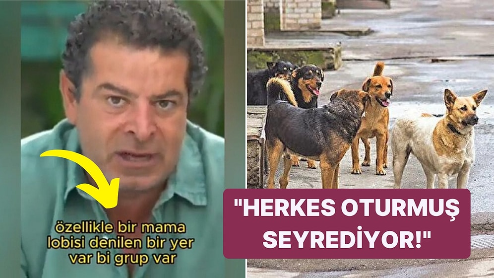 Bir Mama Lobisi Var: Cüneyt Özdemir, Sokak Köpekleri Sorunu Hakkında Konuştu