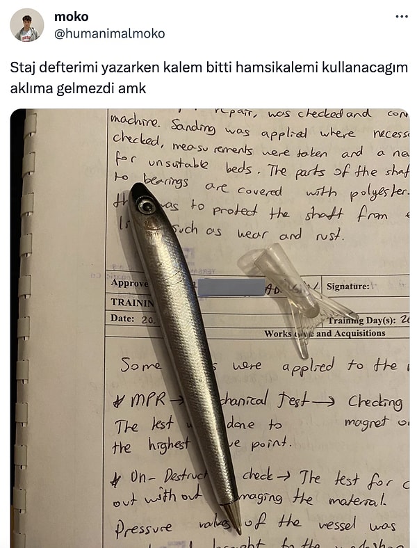 Son çare hamsili kalem...