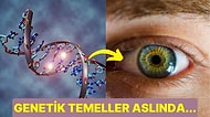 Renkli Gözün Beğeneni Çok! Peki Gözlerin Rengi Nasıl Ortaya Çıkıyor, Neye Göre Belirleniyor?