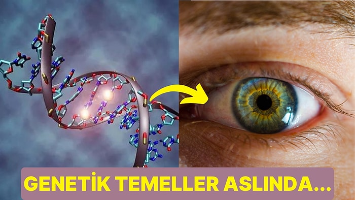 Renkli Gözün Beğeneni Çok! Peki Gözlerin Rengi Nasıl Ortaya Çıkıyor, Neye Göre Belirleniyor?