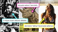 Öğrenince Size Küçük Çaplı Şok Geçirtecek Daha Önce Hiç Duymadığınız 15 İlginç Bilgi