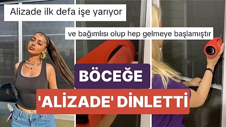 Bir TikTok Kullanıcısı Camlarına Konan Böceği Uzaklaştırmak İçin Böceğe 'Alizade' Dinletti