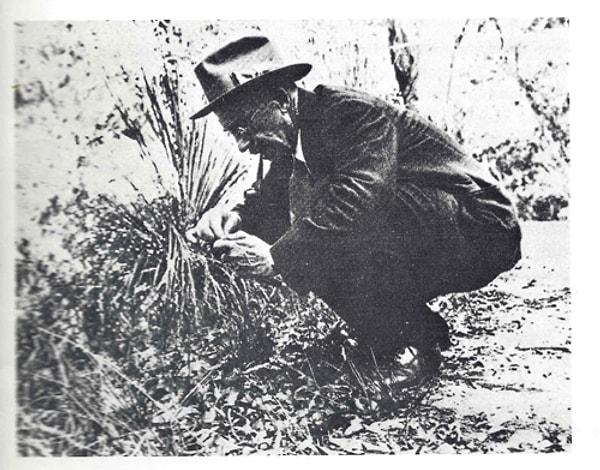 1930'lar ve 1940'larda ekologlar, canlılarda işbirliğini daha metodik bir şekilde incelemeye başladılar.