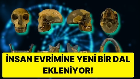 İnsan Soyuna Yeni Bir Dal Eklenmeli mi? Çin'de Keşfedilen Çenesiz Kafatası Bilim İnsanlarını Şaşırttı!