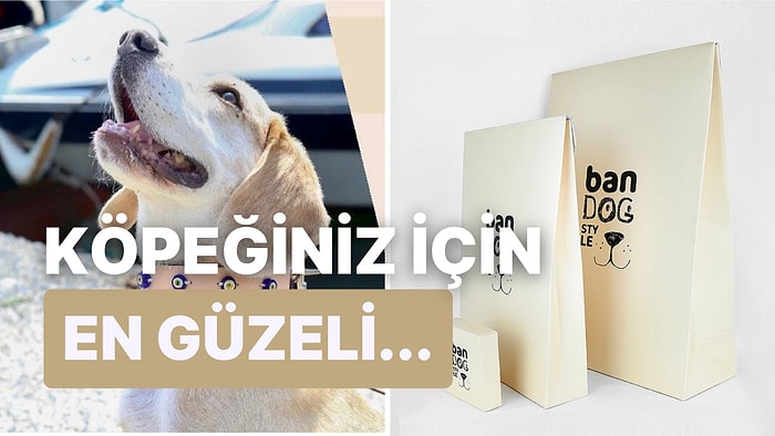 Köpeklerinizin Tam Bir Artist Gibi Görünmesini Sağlayacak Deri Aksesuarlar