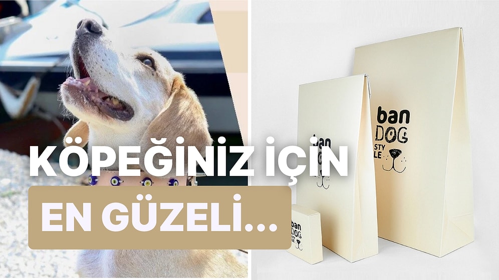 Köpeklerinizin Tam Bir Artist Gibi Görünmesini Sağlayacak Deri Aksesuarlar