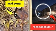 Hiç Kimsenin Görmemesi Gerekiyormuş Gibi Hissettiren Rahatsız Edici 25 Fotoğraf