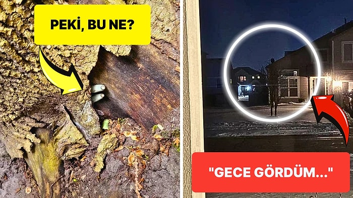 Hiç Kimsenin Görmemesi Gerekiyormuş Gibi Hissettiren Rahatsız Edici 25 Fotoğraf