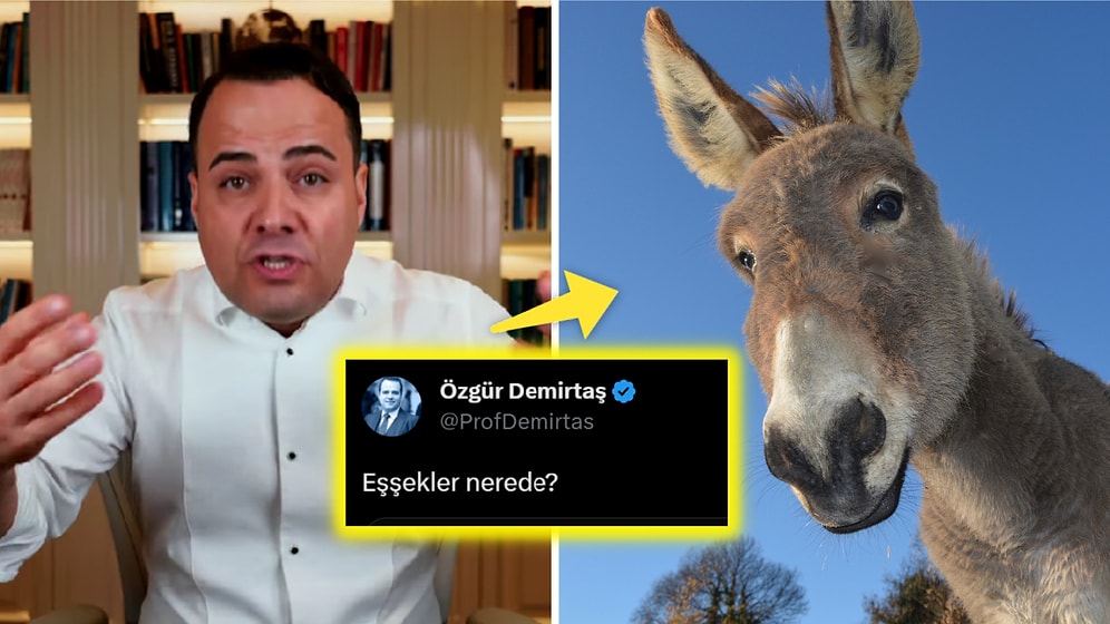 Eşek İstatistiklerine Özgür Demirtaş 'Neredeler?' Diye Sorunca Cevaplar Çeşitlendi