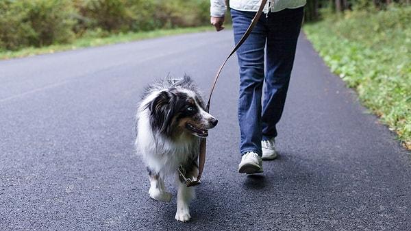 Araştırmacılar, ne kadar çok yürürseniz, sağlığınız için o kadar faydalı olduğunu söylüyor.