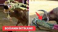 Kimse Elinden Alamadı! Boğanın Saldırdığı Matador Defalarca Boynuzlandıktan Sonra Havaya Fırlatıldı