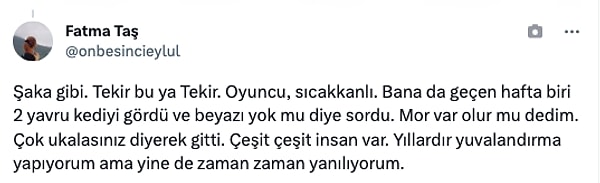 "Şaka gibi. Tekir bu ya Tekir. Oyuncu, sıcakkanlı. Bana da geçen hafta biri 2 yavru kediyi gördü ve beyazı yok mu diye sordu. Mor var olur mu dedim. Çok ukalasınız diyerek gitti. Çeşit çeşit insan var. Yıllardır yuvalandırma yapıyorum ama yine de zaman zaman yanılıyorum."