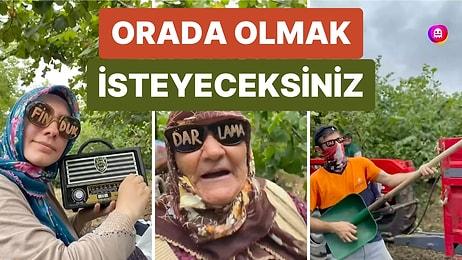 Bir Köyde Çekilen ve Köydeki Herkesi Eğlendiği Eğlenceli 'Fındık Hasadı' Videosu Viral Oldu