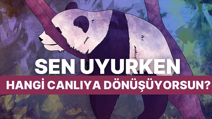 Sen Uykunda Hangi Canlıya Dönüşüyorsun?