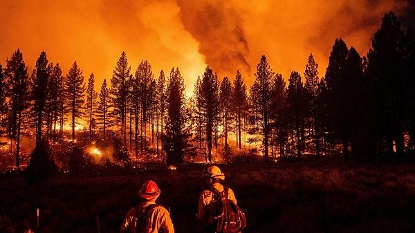 Hava sıcaklarının artmasıyla birlikte birçok ilimizde orman yangınları meydana gelmişti.