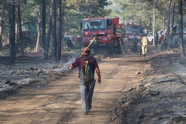 Neden çıktığı belli olmayan yangınlar kontrol altına alınırken sosyal medyada orman yangınlarına dikkat çekmek amacıyla yapılan görsel dikkat çekti.