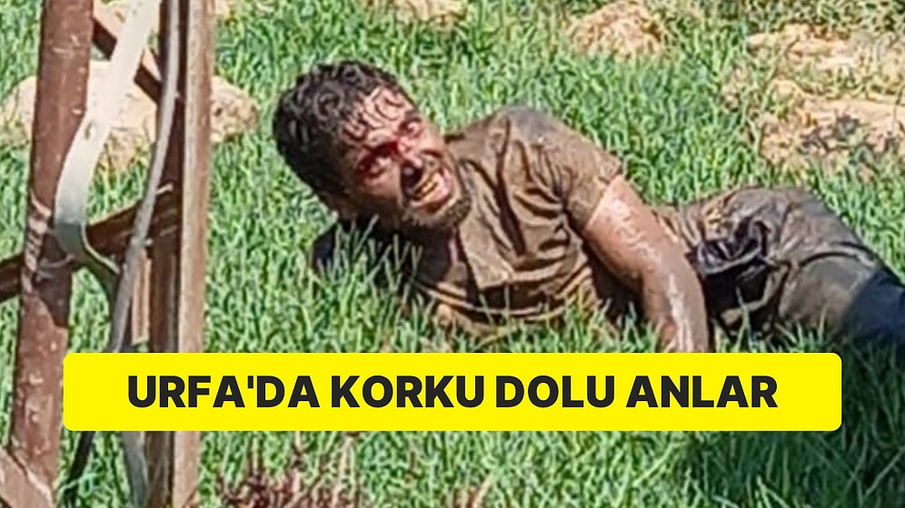 Hastaneden Kaçan Kuduz Hastası İlçede Panik Yarattı