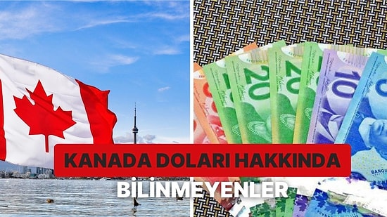 Kuzey Amerika’nın Soğuk ve Cool Ülkesi Kanada’nın Para Birimi Kanada Doları Hakkında 11 Bilgi