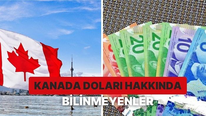 Kuzey Amerika’nın Soğuk ve Cool Ülkesi Kanada’nın Para Birimi Kanada Doları Hakkında 11 Bilgi