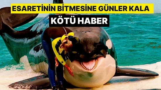 Esareti Sona Ermişti! Lolita'dan Üzücü Haber: Daha Fazla Dayanamadı