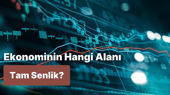 Ekonominin Hangi Alanı Tam Senlik?