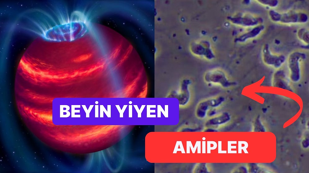 Bilimsel Keşifler Hakkında Daha Önce Duymadığınız Ufkunuzu Genişletecek Gerçekler