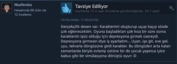9. Sims 4'ün Türkiye'de bir gencin hayatını konu aldığını biliyor muydunuz?