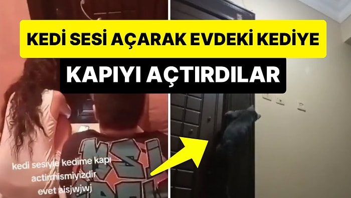 Kedi Sesi Açarak Evdeki Kediye Kapıyı Açtıran Kadının Viral Olan Paylaşımı