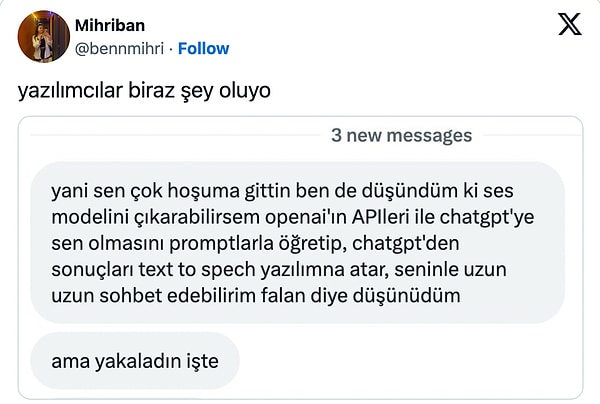 Biz yapay zekadan konuşaduralım, bir yazılımcı hoşlandığı kişiyle uzun uzun sohbet edememekten muzdarip olarak kadının yapay zeka modelini yapmaya niyetlenmiş!