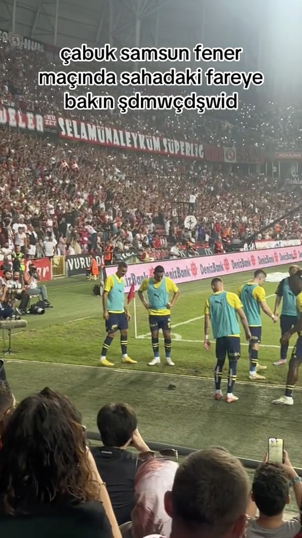 Samsunspor-Fenerbahçe karşılaşmasında sahaya giren davetsiz bir misafir vardı. Fenerbahçeli futbolcular ısındığı sırada sahadan koşarak gelen fare, ortaya eğlenceli görüntüler çıkardı.