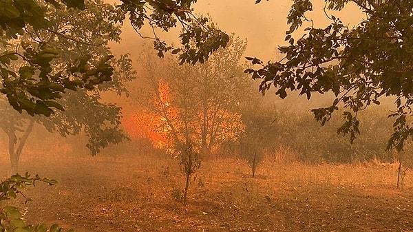 Çanakkale'nin ormanlık alanlarında çıkan yangın henüz kontrol altına alınamadı.