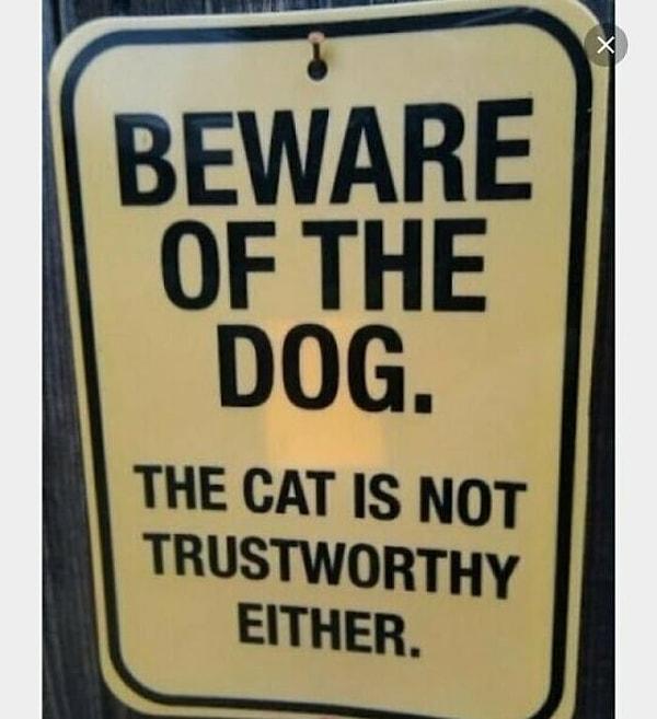 7. "Dikkat köpek! Kediye de dikkat edin, güvenilir değil."