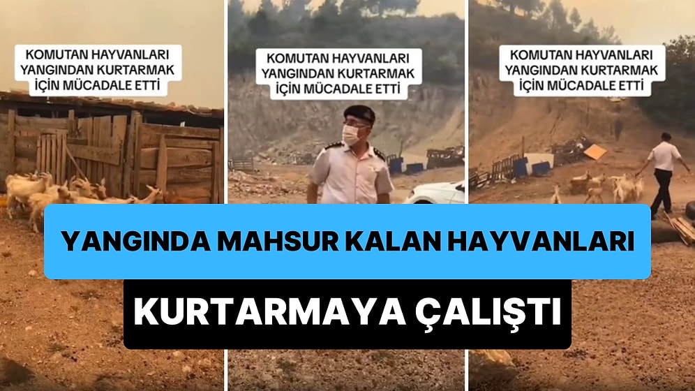 Çanakkale'deki Yangında Mahsur Kalan Küçükbaş Hayvanları Kurtarmaya Çalışan Komutan