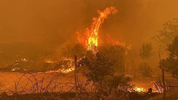 Çanakkale’deki orman yangını sebebiyle binlerce kişi tahliye edildi.