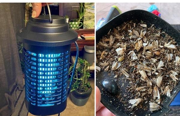 14. Yaz aylarındaki sinek sorununuzun çözümü Palone Böcek Öldürücü Elektrikli Sivrisinek Tuzağı ile artık mümkün.