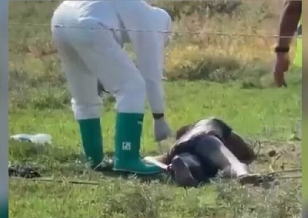 Uzun uğraşların ardından ikna olan Hasan Halil Faras, özel kıyafetli ekiplerce ambulansla Akçakale Devlet Hastanesi'ne götürüldü. İlçede panik ve tedirginlik yaratan olay üzerine Faras, tedavi için Şanlıurfa Mehmet Akif İnan Eğitim ve Araştırma Hastanesi’ne sevk edildi.