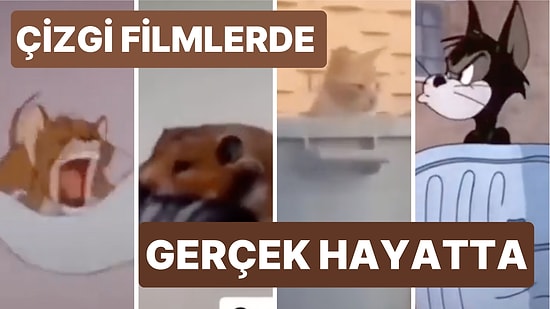 Dünyanın En Sevimli Videosu! Çizgi Filmlerdeki Kedilerin Gerçek Hayattaki Versiyonları