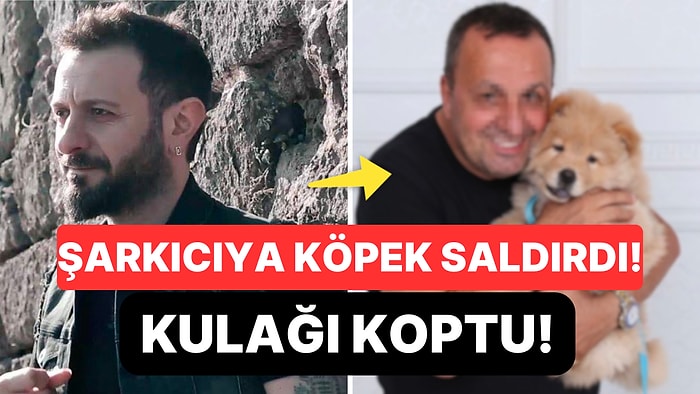 Şarkıcı Ali Kal, Restoranda Köpek Saldırısına Uğradı: Çin Aslanı, Ünlü Sanatçının Sağ Kulağını Kopardı!