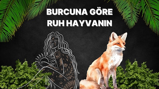 Burcuna Göre Senin Ruh Hayvanın Ne?