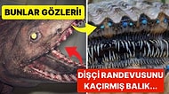 Doğanın Korkutucu Yüzünü İliklerinize Kadar Hissetmenize Sebep Olacak Birbirinden Ürkütücü 15 Yeni Fotoğraf