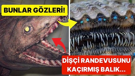 Doğanın Korkutucu Yüzünü İliklerinize Kadar Hissetmenize Sebep Olacak Birbirinden Ürkütücü 15 Yeni Fotoğraf