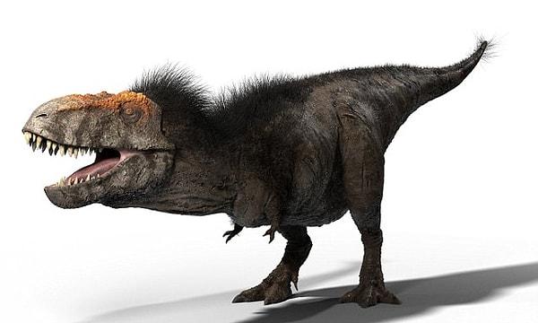 9. "Dinozorların tüysüz varlıklar olduğu. Yeni arkeolojik kanıtlar aslında dinozorların tüylü olduklarını kanıtlamıştır.