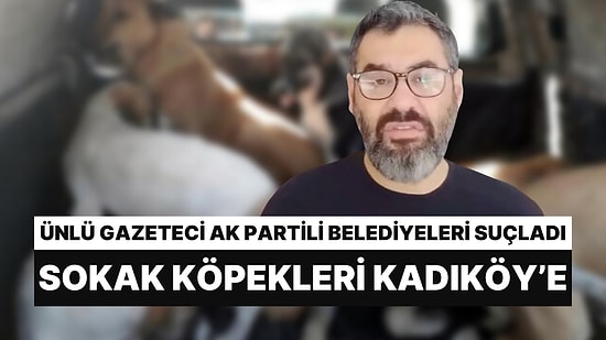 Gazeteci Enver Aysever: "AK Partili Belediyeler Gece Yarısı Kadıköy'e Köpek Salıyor"